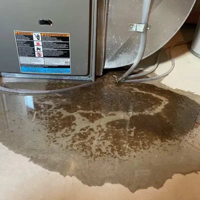 Appliance Leak Cleanup in San Andreas, CA